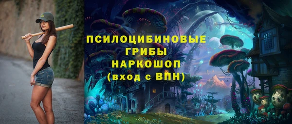 сатива Алексин
