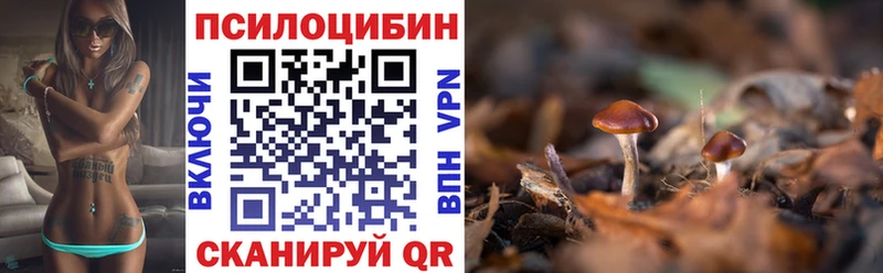 Псилоцибиновые грибы MAGIC MUSHROOMS  где найти наркотики  кракен онион  Полысаево 